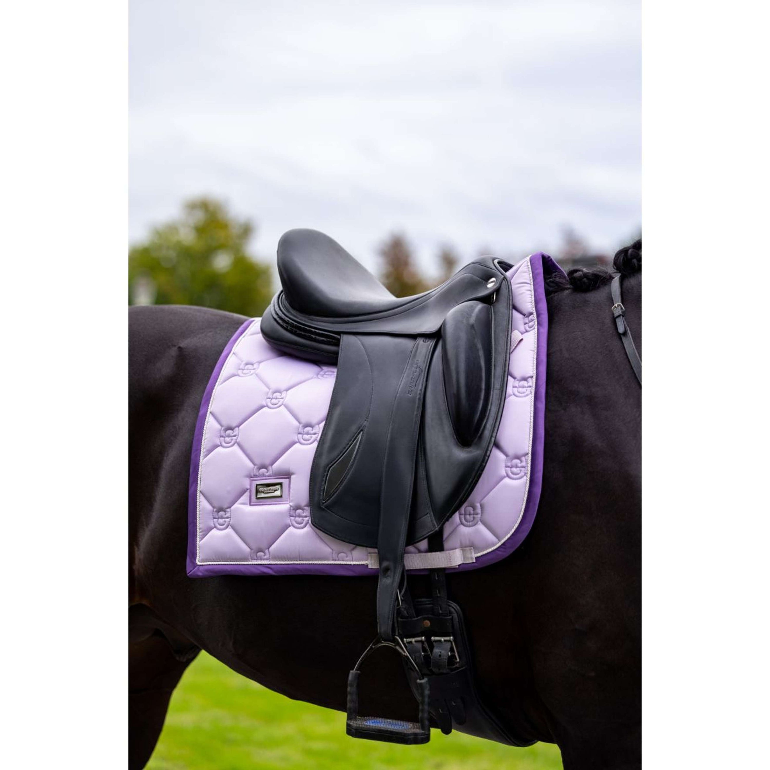Equestrian Stockholm Schabracke Dressur Lavendel