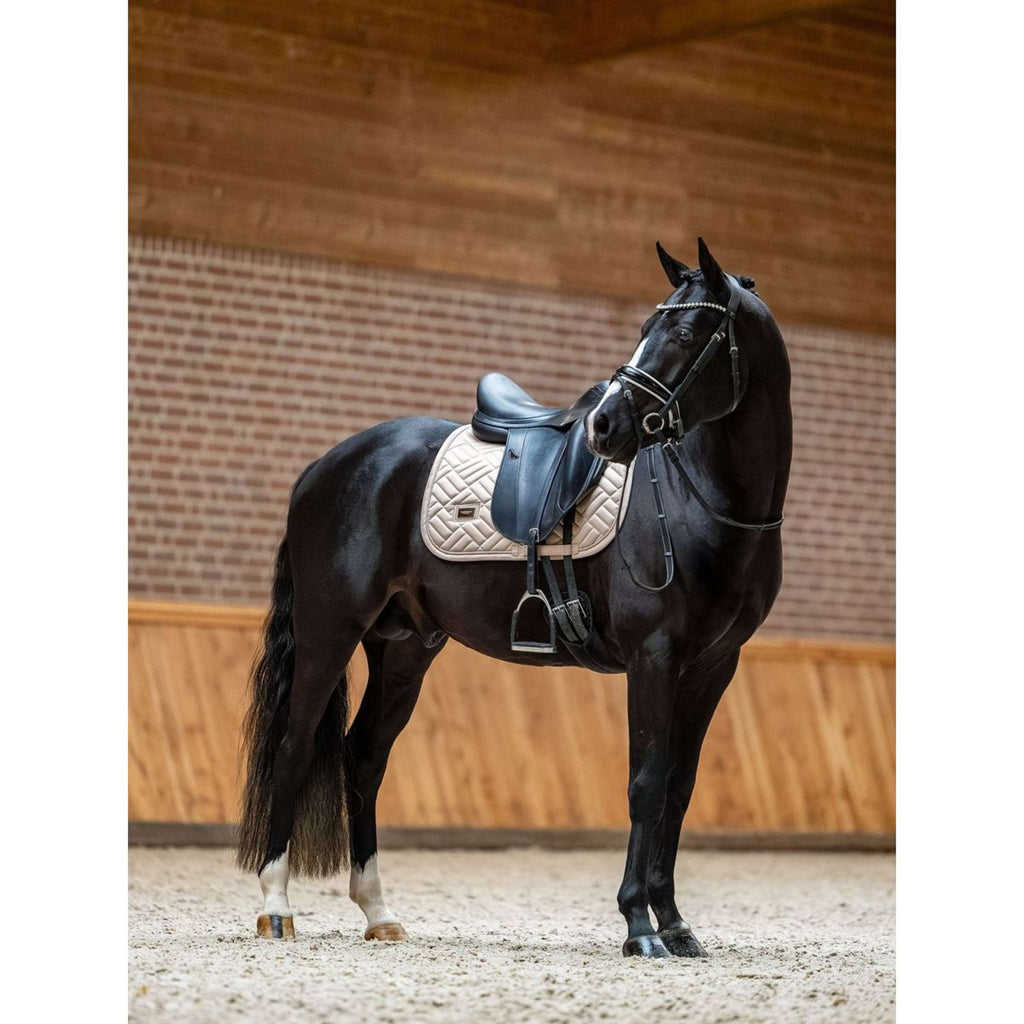 Equestrian Stockholm Schabracke Modern Springen Sand
