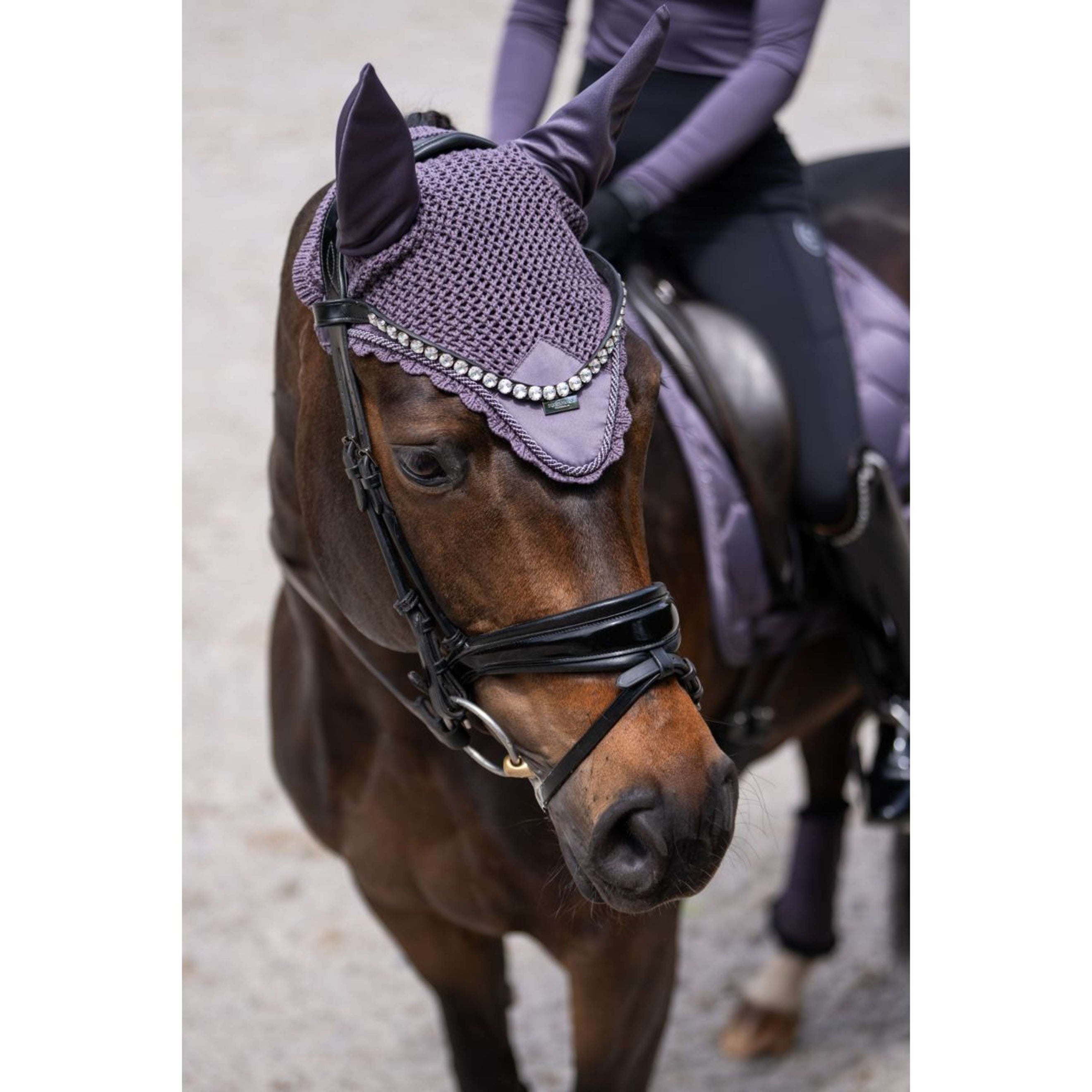 Equestrian Stockholm Fliegenhaube Dark Violet Equestrian Stockholm Fliegenhaube Dark Violet
