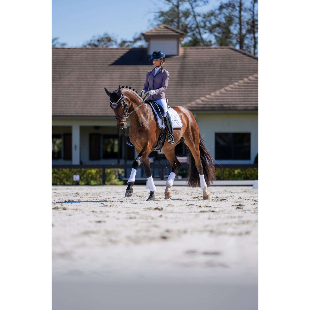 Equestrian Stockholm Fliegenhaube Modern Dark Violet