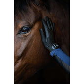 Equestrian Stockholm Reithandschuhe Summer Black Edition