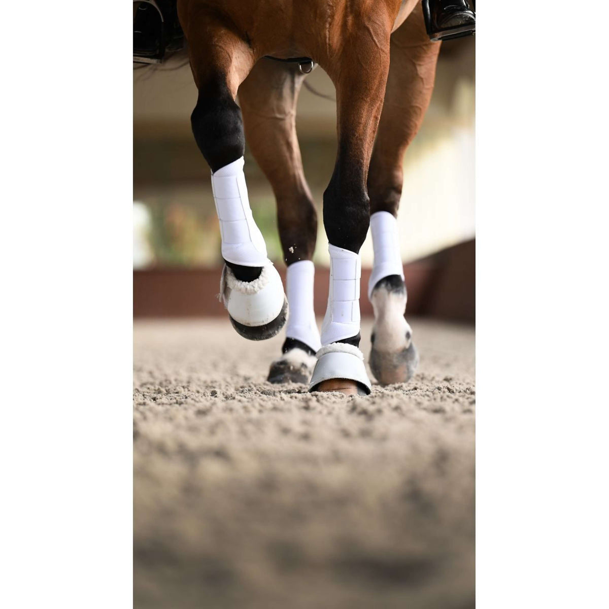 Equestrian Stockholm Gamaschen Classic Mesh White Silver