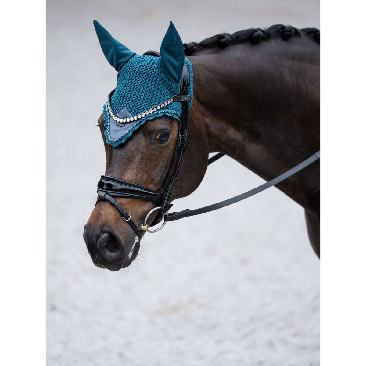 Equestrian Stockholm Fliegenhaube Teal Blue