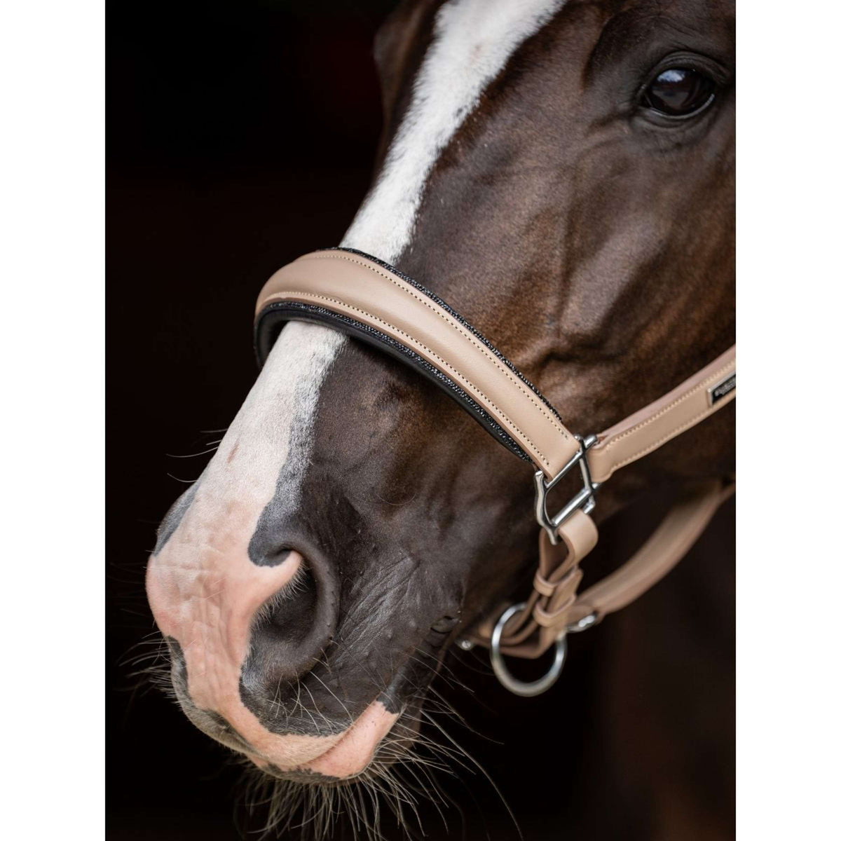 Equestrian Stockholm Halfter Glimmer Leather Anatomic Sand