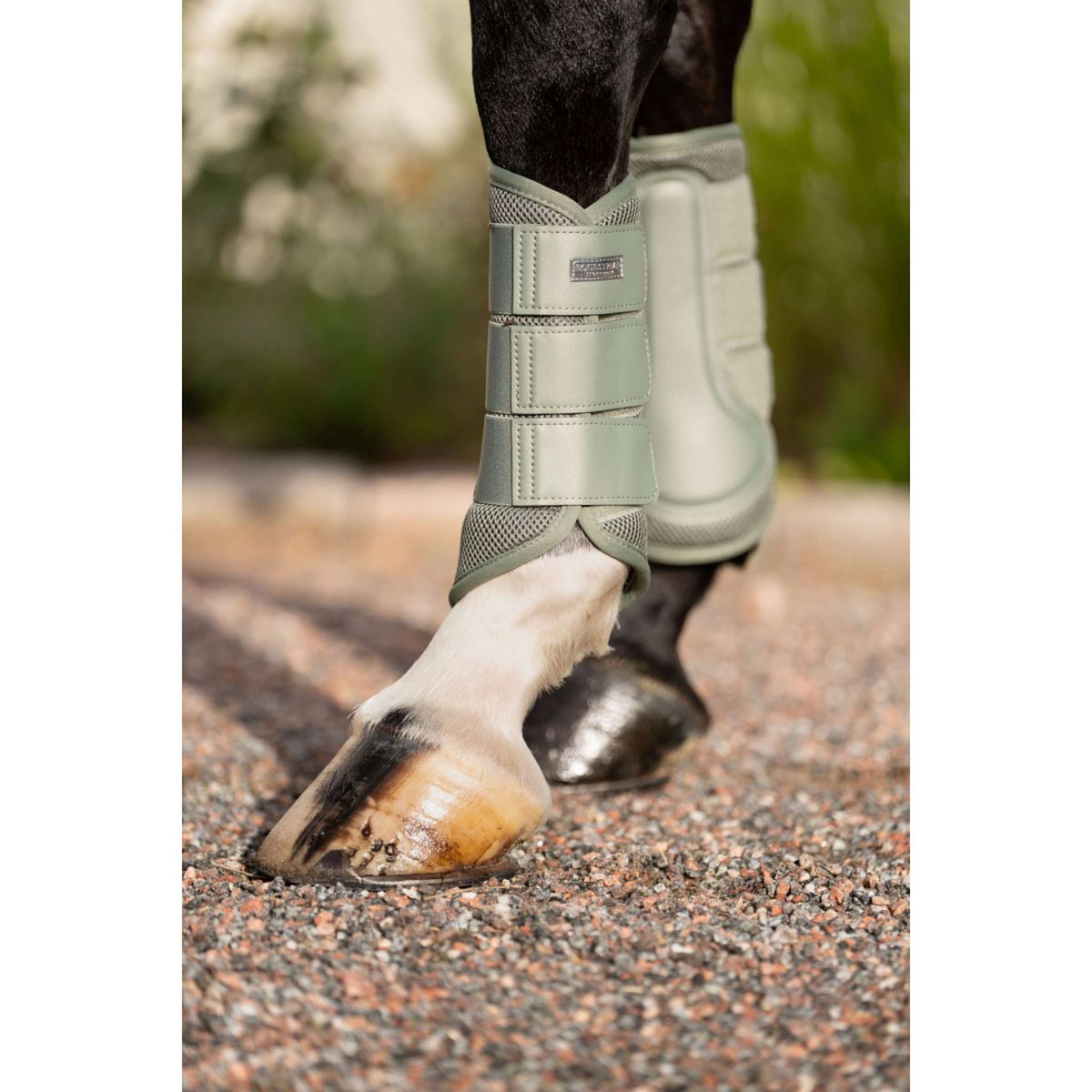 Equestrian Stockholm Gamaschen Classic Mesh Pistachio White