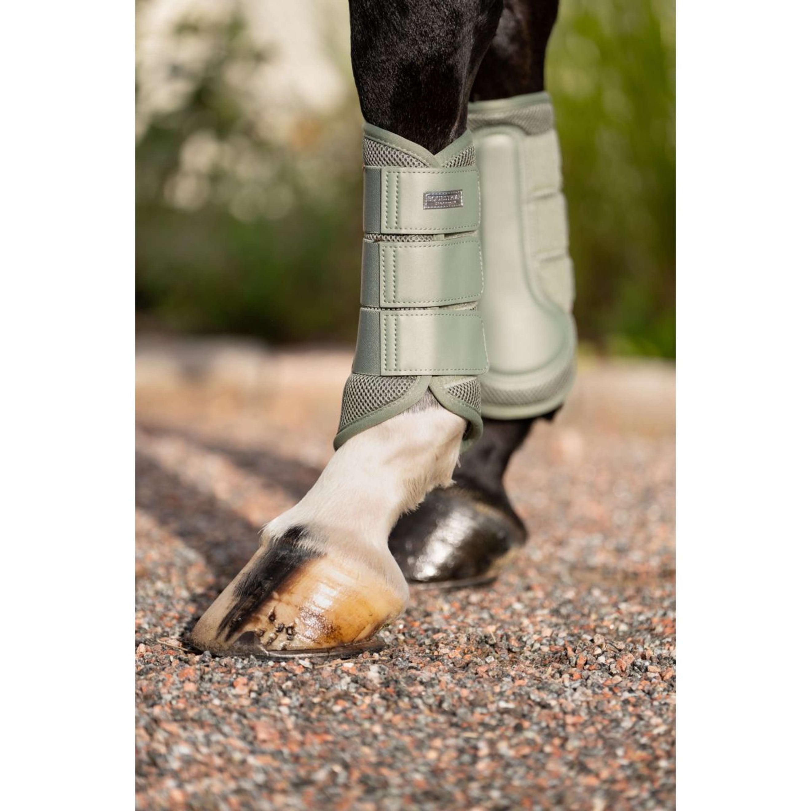 Equestrian Stockholm Gamaschen Classic Mesh Pistachio White