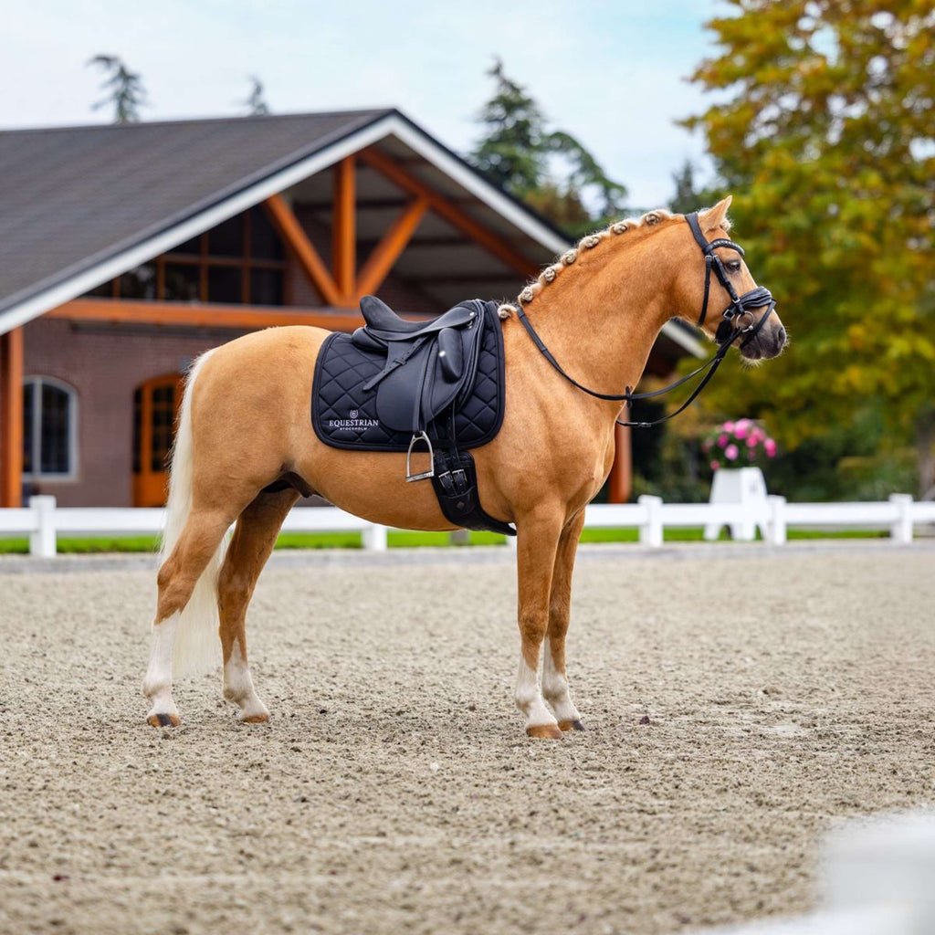 Equestrian Stockholm Schabracke Line Dressur Schwarz