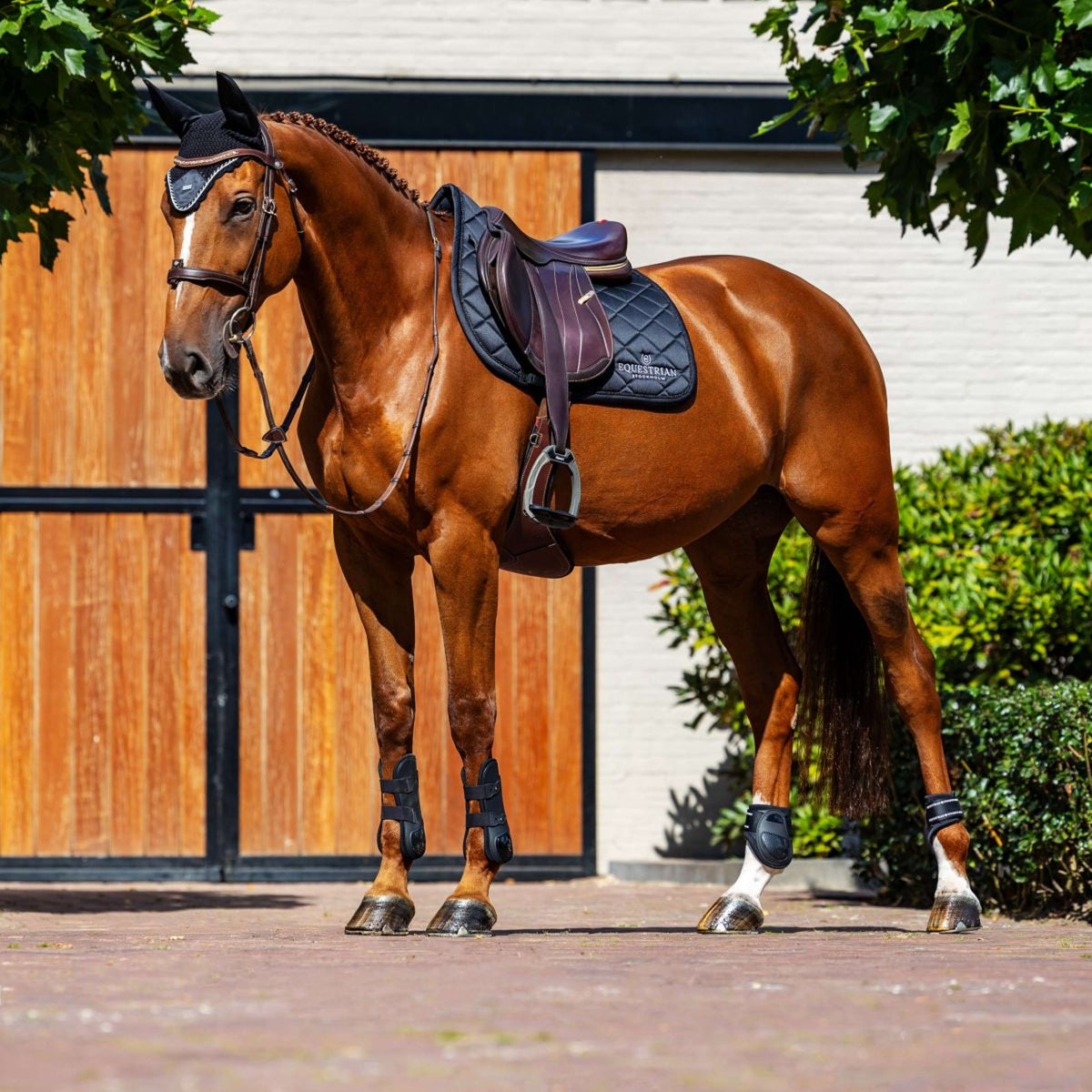 Equestrian Stockholm Schabracke Line Springen Schwarz