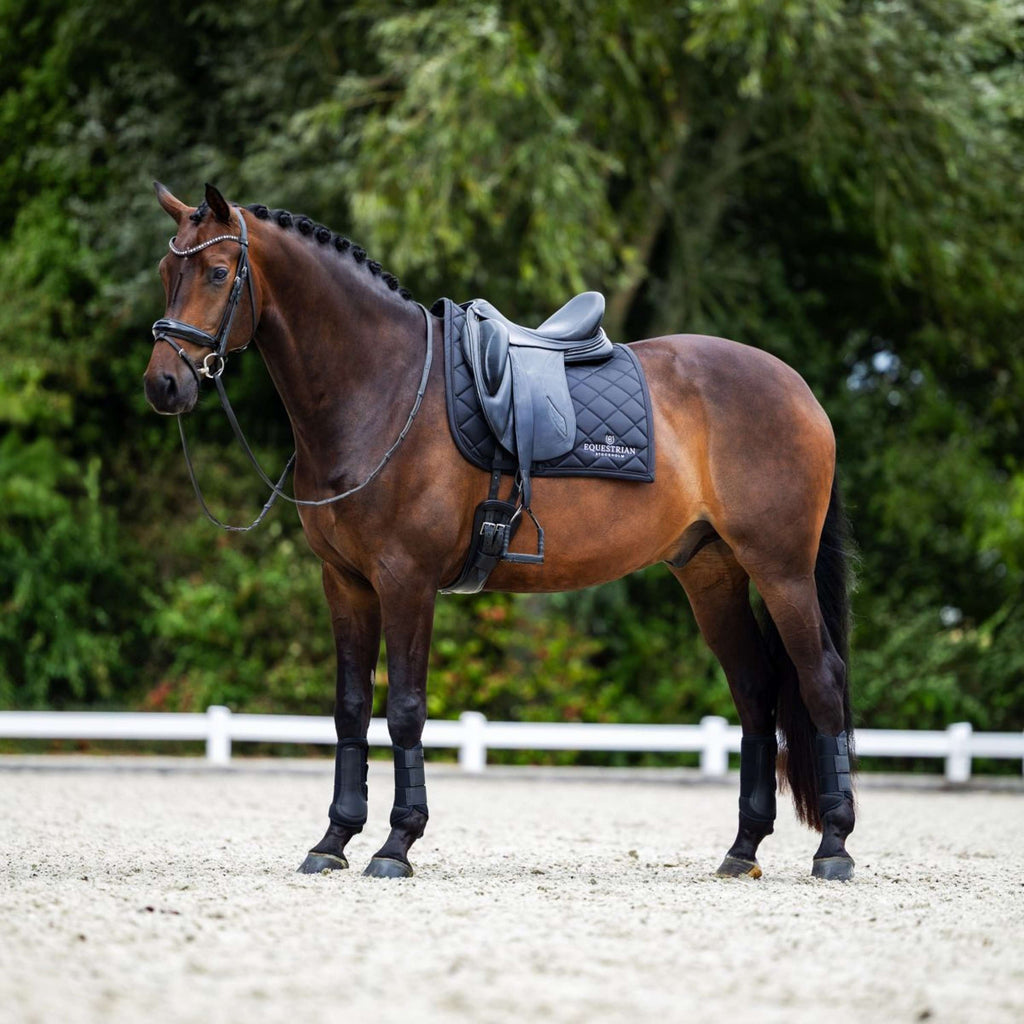 Equestrian Stockholm Schabracke Line Dressur Schwarz