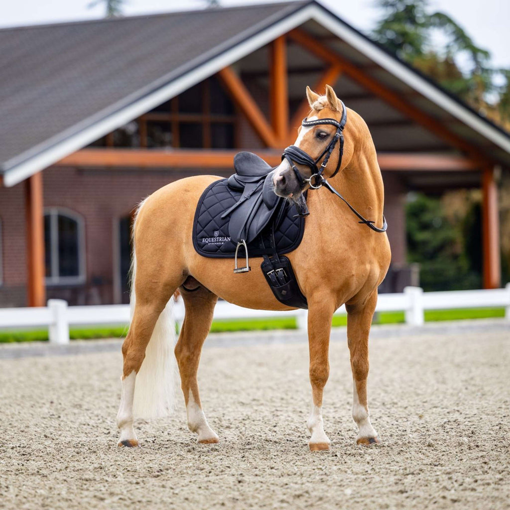 Equestrian Stockholm Schabracke Line Dressur Schwarz
