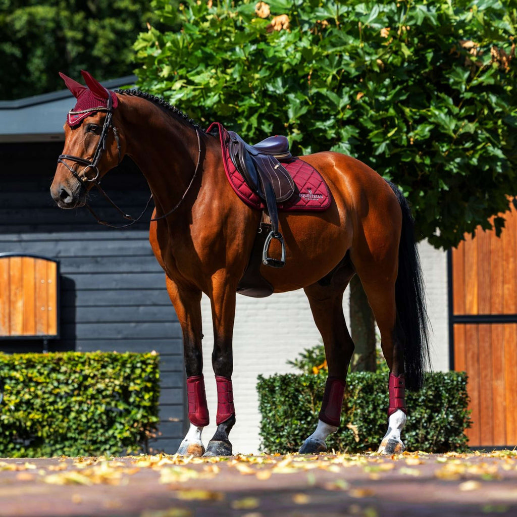 Equestrian Stockholm Schabracke Line Springen Bordeaux
