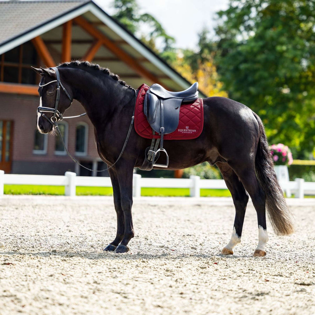 Equestrian Stockholm Schabracke Line Dressur Bordeaux