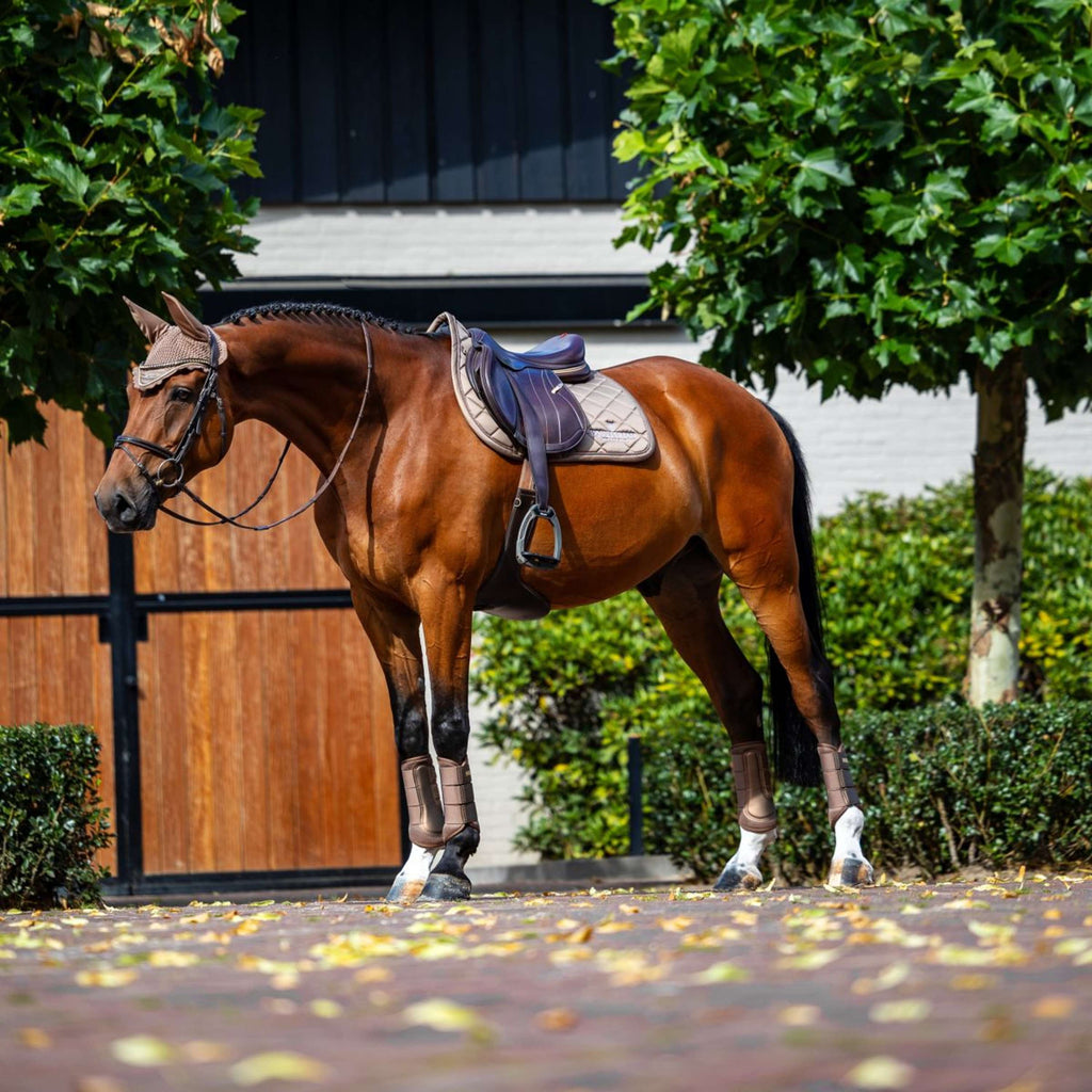 Equestrian Stockholm Schabracke Line Springen Champagne