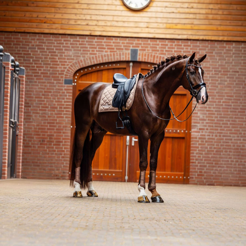 Equestrian Stockholm Schabracke Line Dressur Champagne