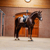 Equestrian Stockholm Schabracke Line Dressur Champagne
