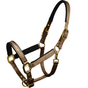 Equestrian Stockholm Halfter Line Champagne