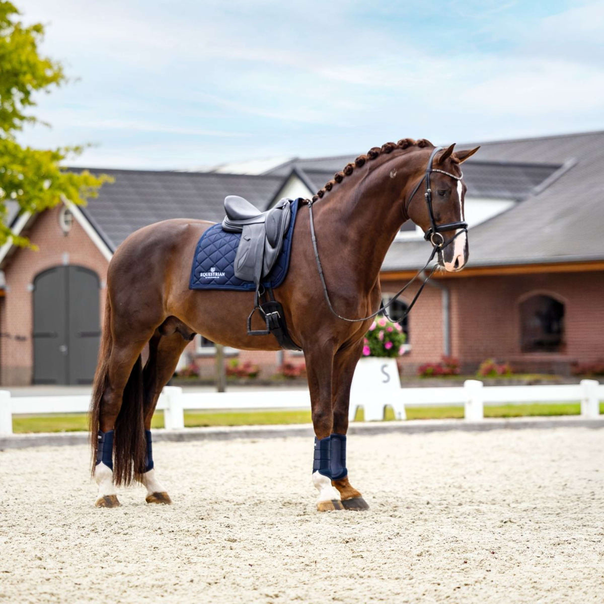 Equestrian Stockholm Schabracke Line Dressur Navy
