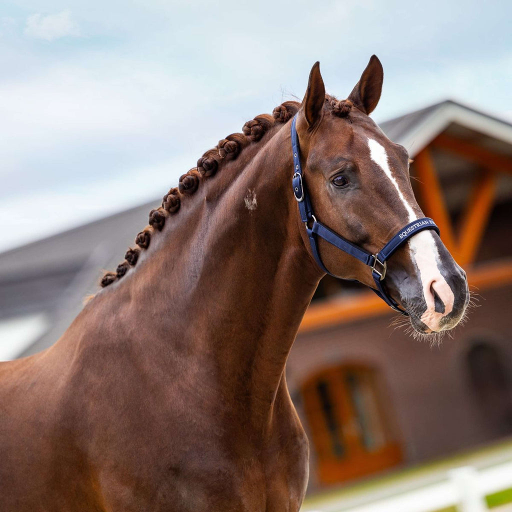 Equestrian Stockholm Halfter Line Navy