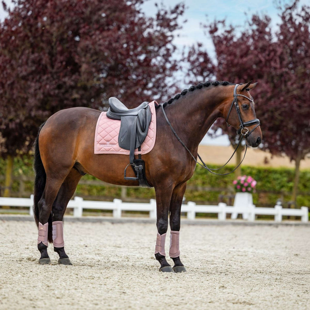 Equestrian Stockholm Schabracke Line Dressur Rosa