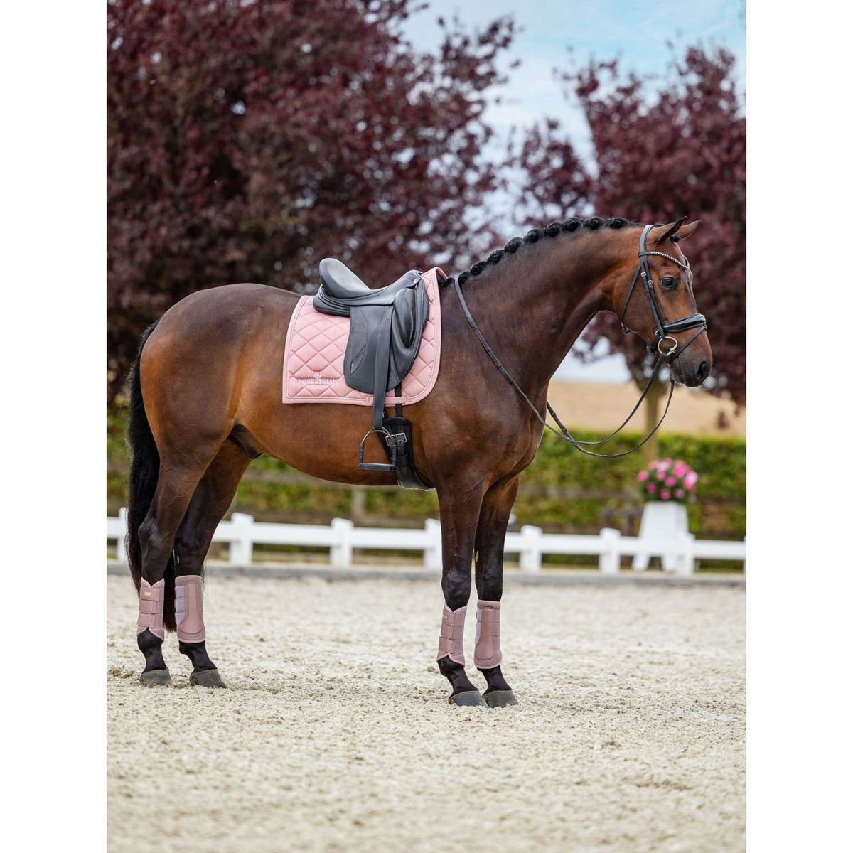 Equestrian Stockholm Gamaschen Classic Mesh Rosa
