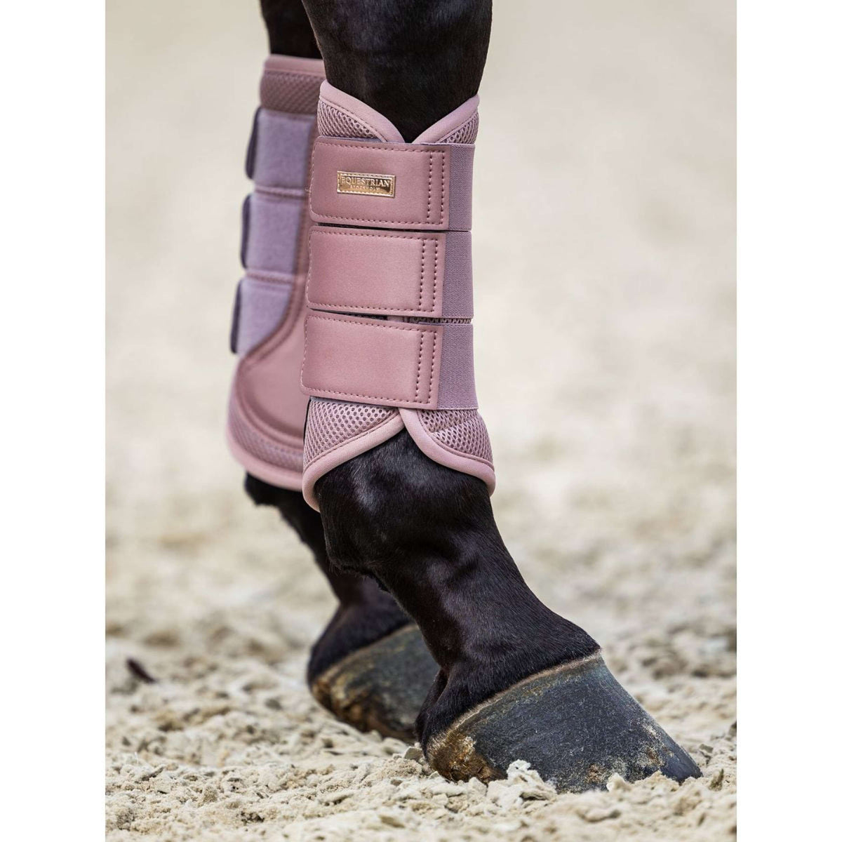 Equestrian Stockholm Gamaschen Classic Mesh Rosa