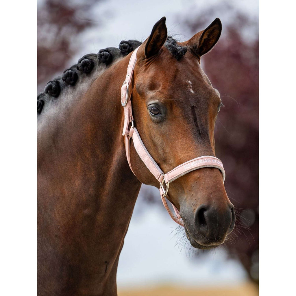Equestrian Stockholm Halfter Line Rosa