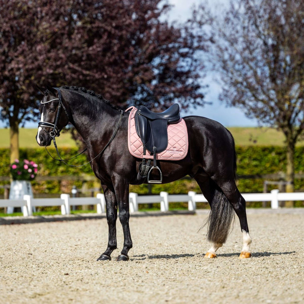 Equestrian Stockholm Schabracke Line Dressur Rosa