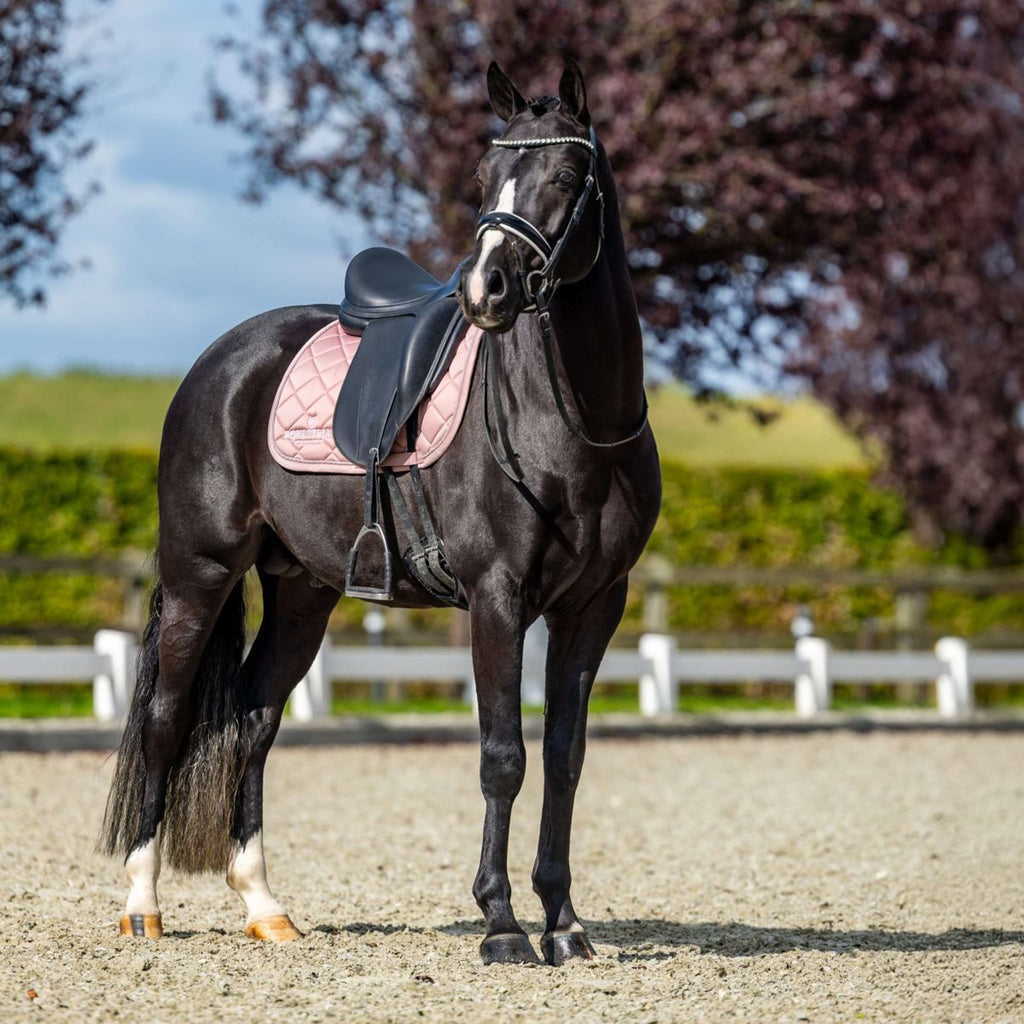 Equestrian Stockholm Schabracke Line Dressur Rosa