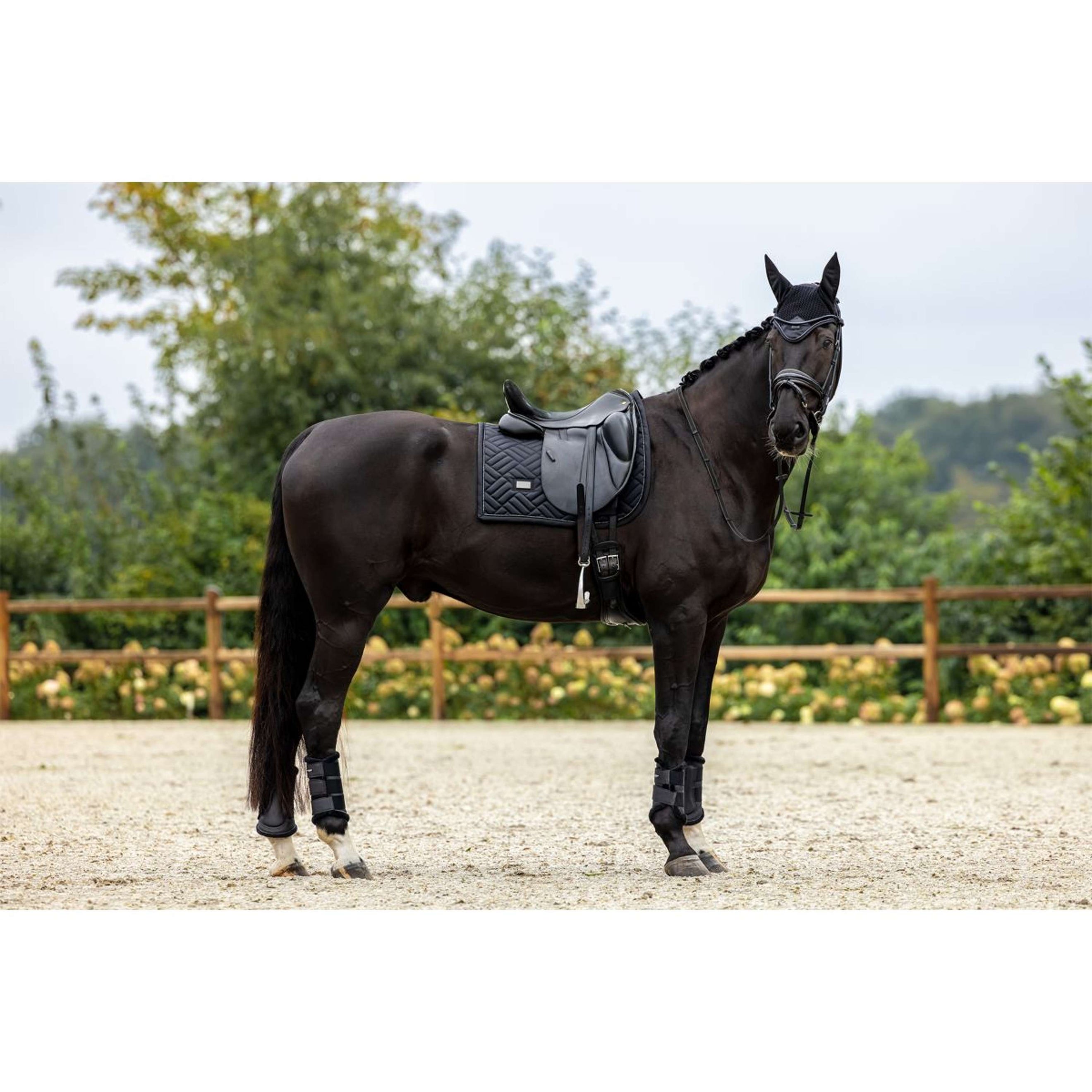 Equestrian Stockholm Schabracke Modern Dressur Schwarz