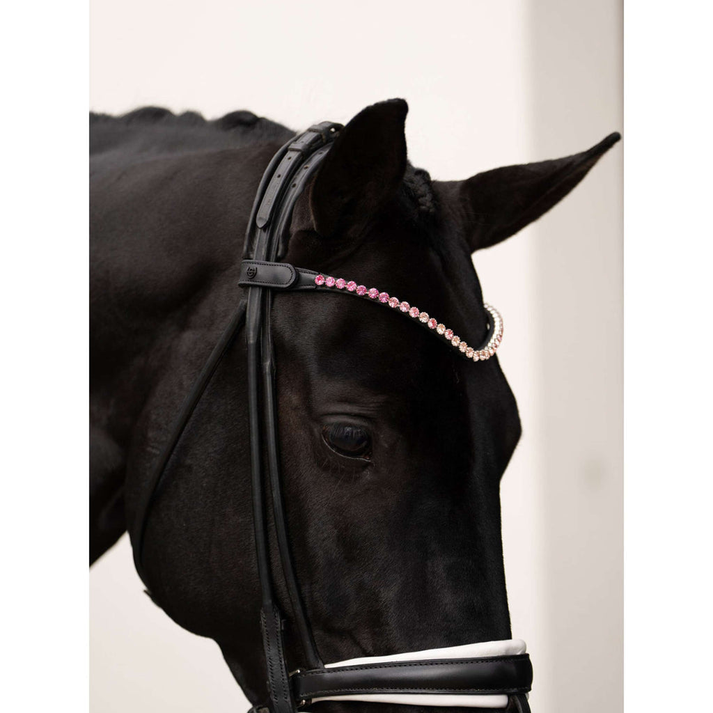 Equestrian Stockholm Stirnriemen Faded 8mm Rosa