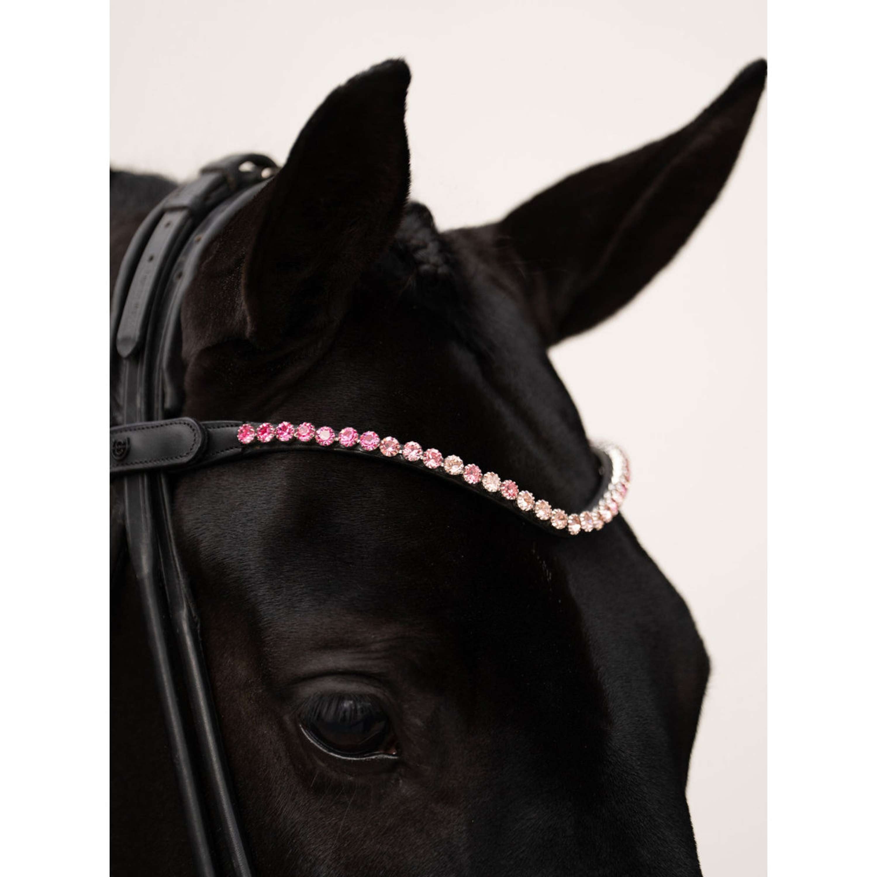 Equestrian Stockholm Stirnriemen Faded 8mm Rosa