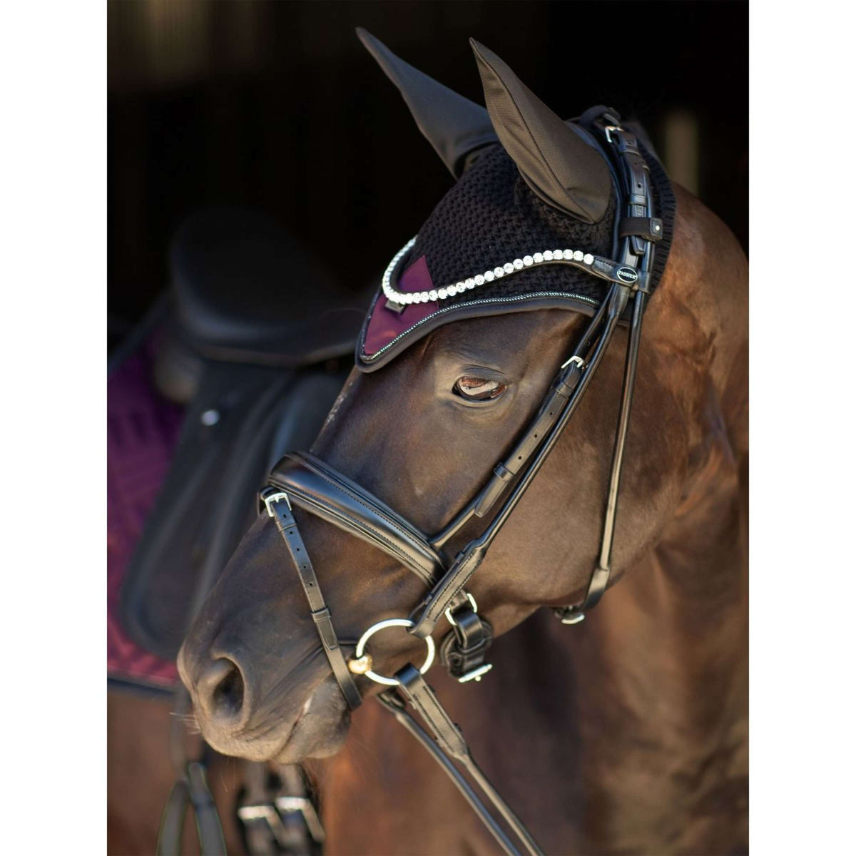 Equestrian Stockholm Fliegenhaube Modern Purple Night