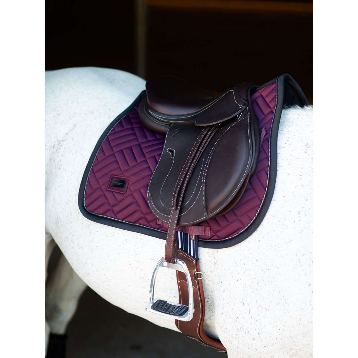 Equestrian Stockholm Schabracke Modern Springen Purple Night