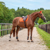 Equestrian Stockholm Fliegenhaube Satin Chestnut