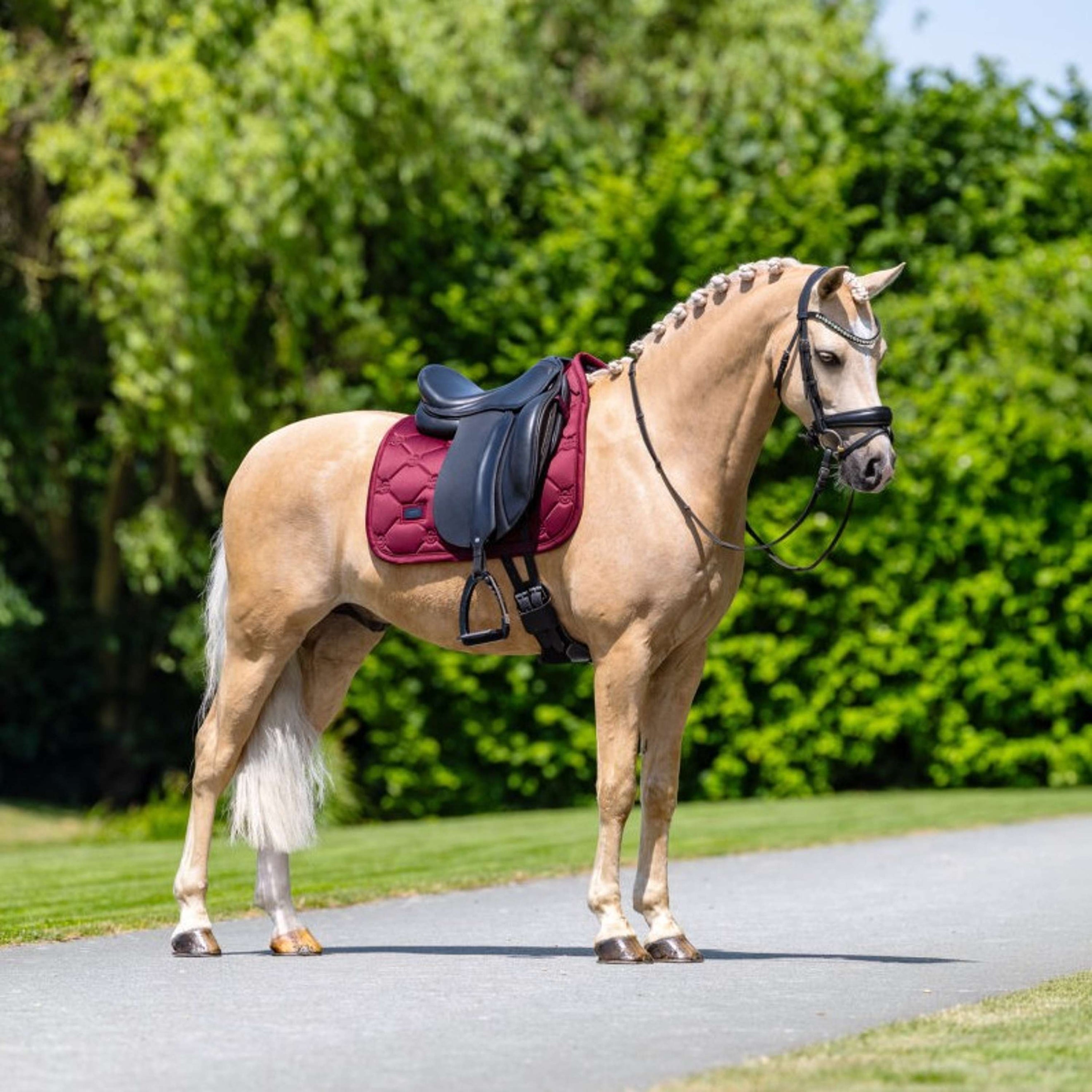 Equestrian Stockholm Schabracke Satin Dressur Merlot Equestrian Stockholm Schabracke Satin Dressur Merlot