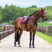 Equestrian Stockholm Schabracke Satin Springen Merlot
