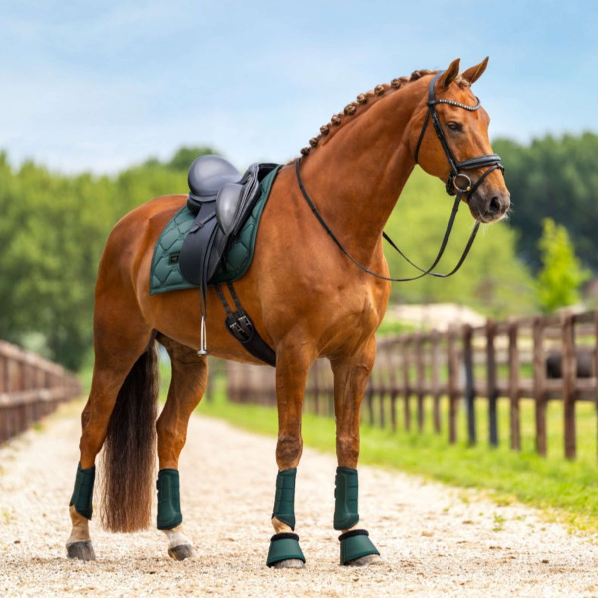 Equestrian Stockholm Schabracke Satin Dressur Sycamore Green