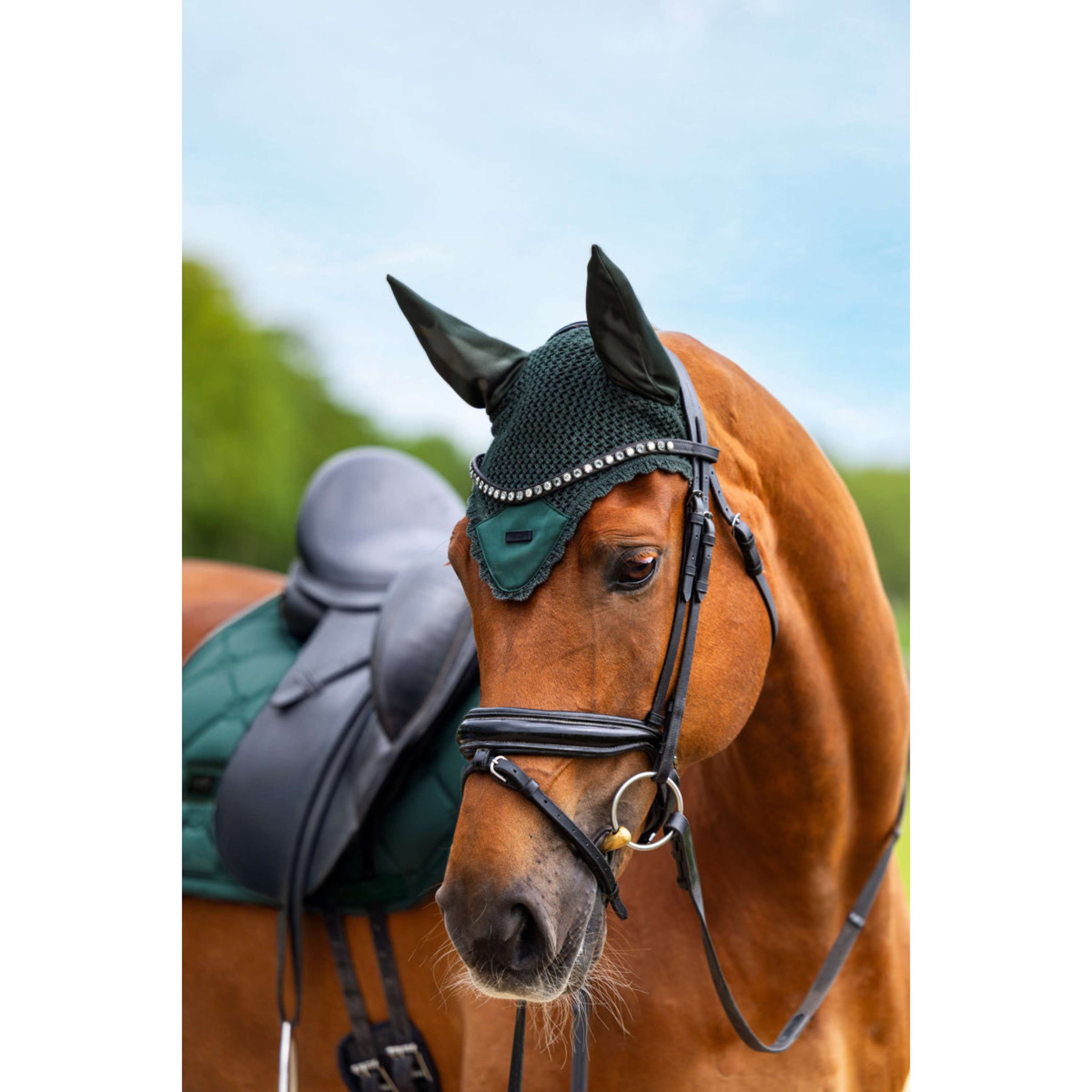 Equestrian Stockholm Fliegenhaube Satin Sycamore Green