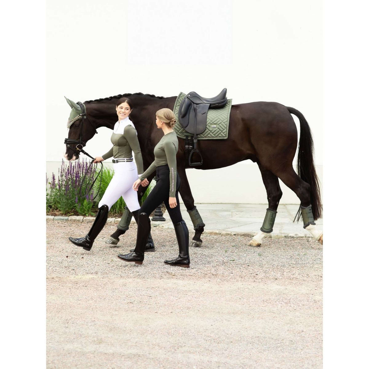 Equestrian Stockholm Schabracke Modern Dressur Striking Viking