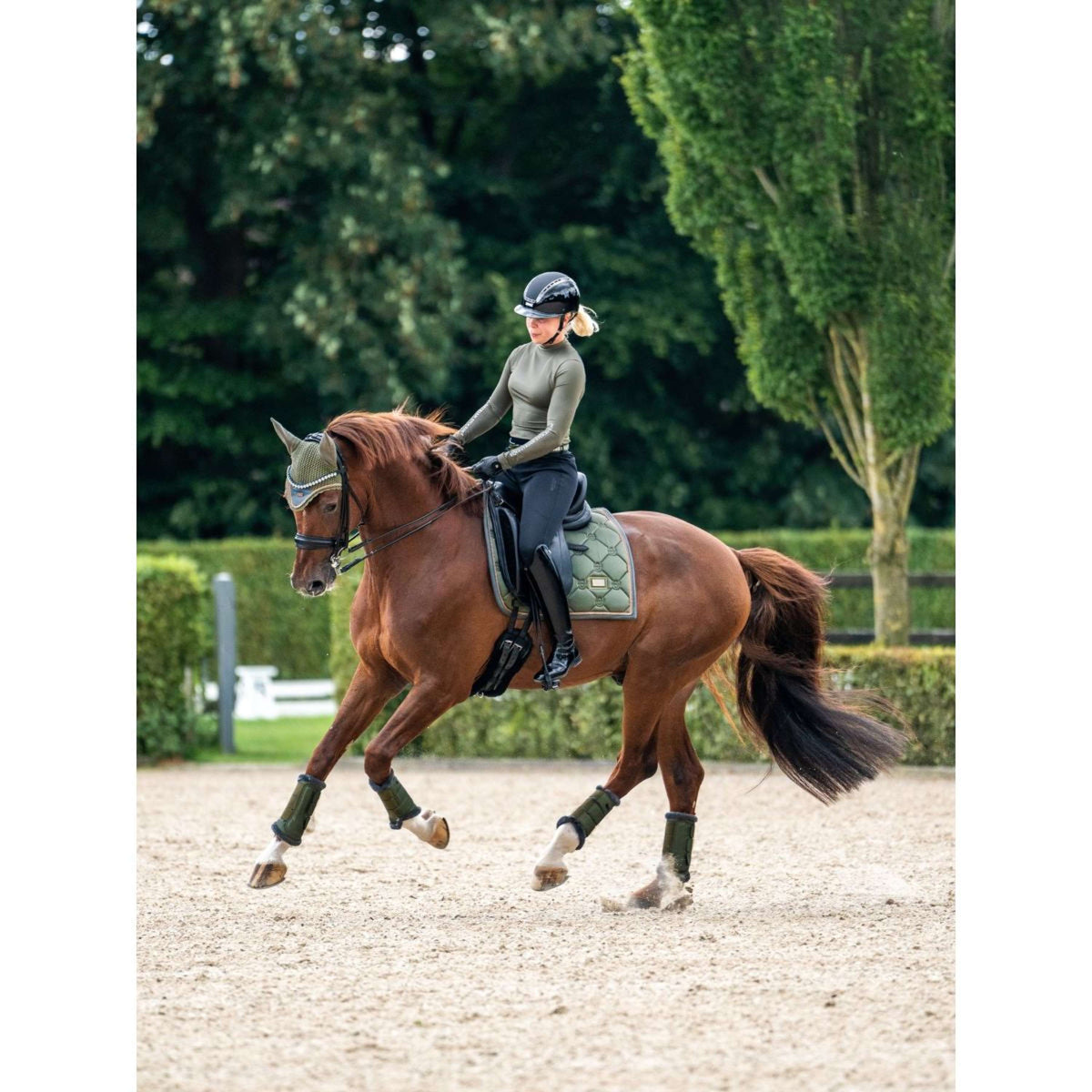 Equestrian Stockholm Schabracke Dressur Striking Valley