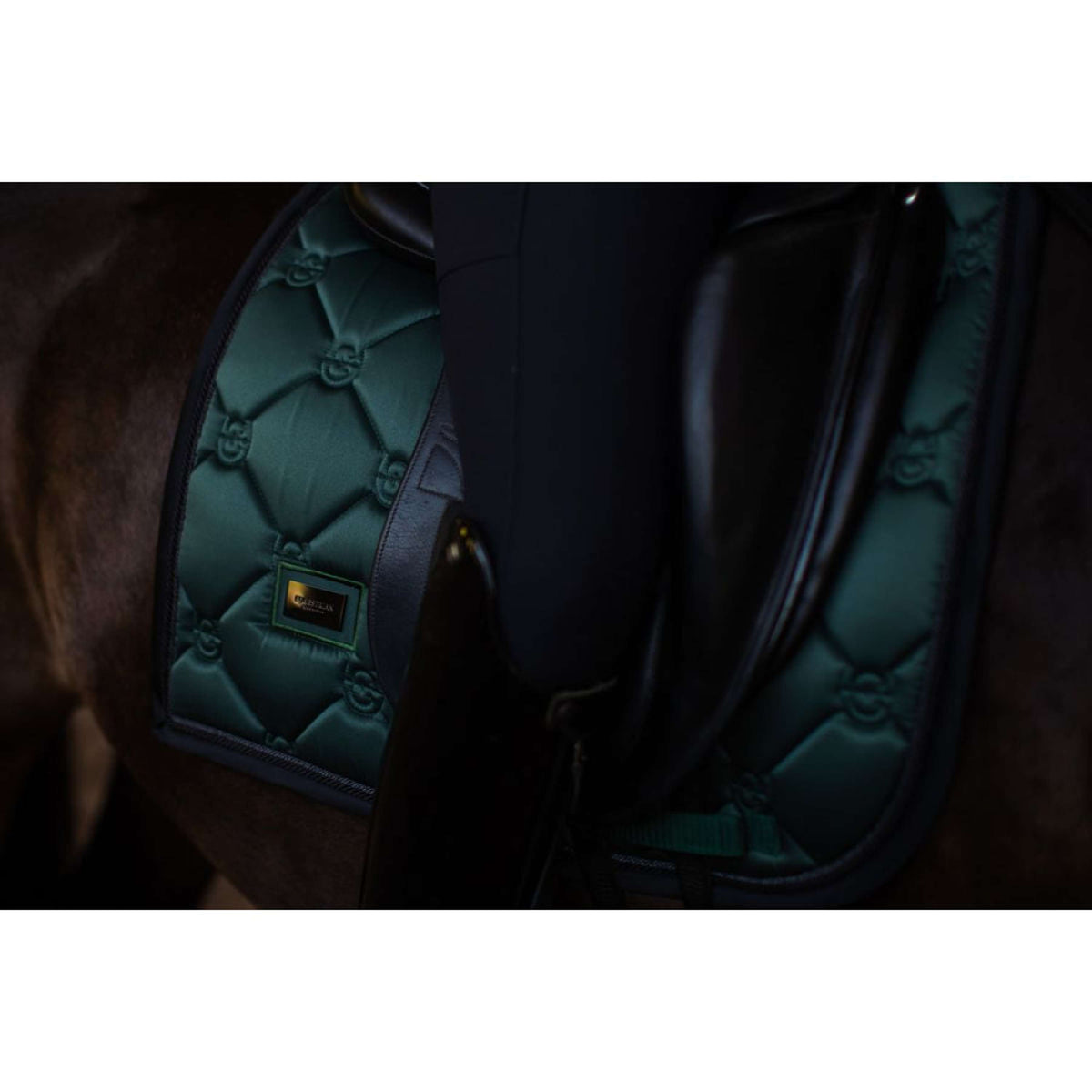 Equestrian Stockholm Schabracke Dressur Sycamore Green