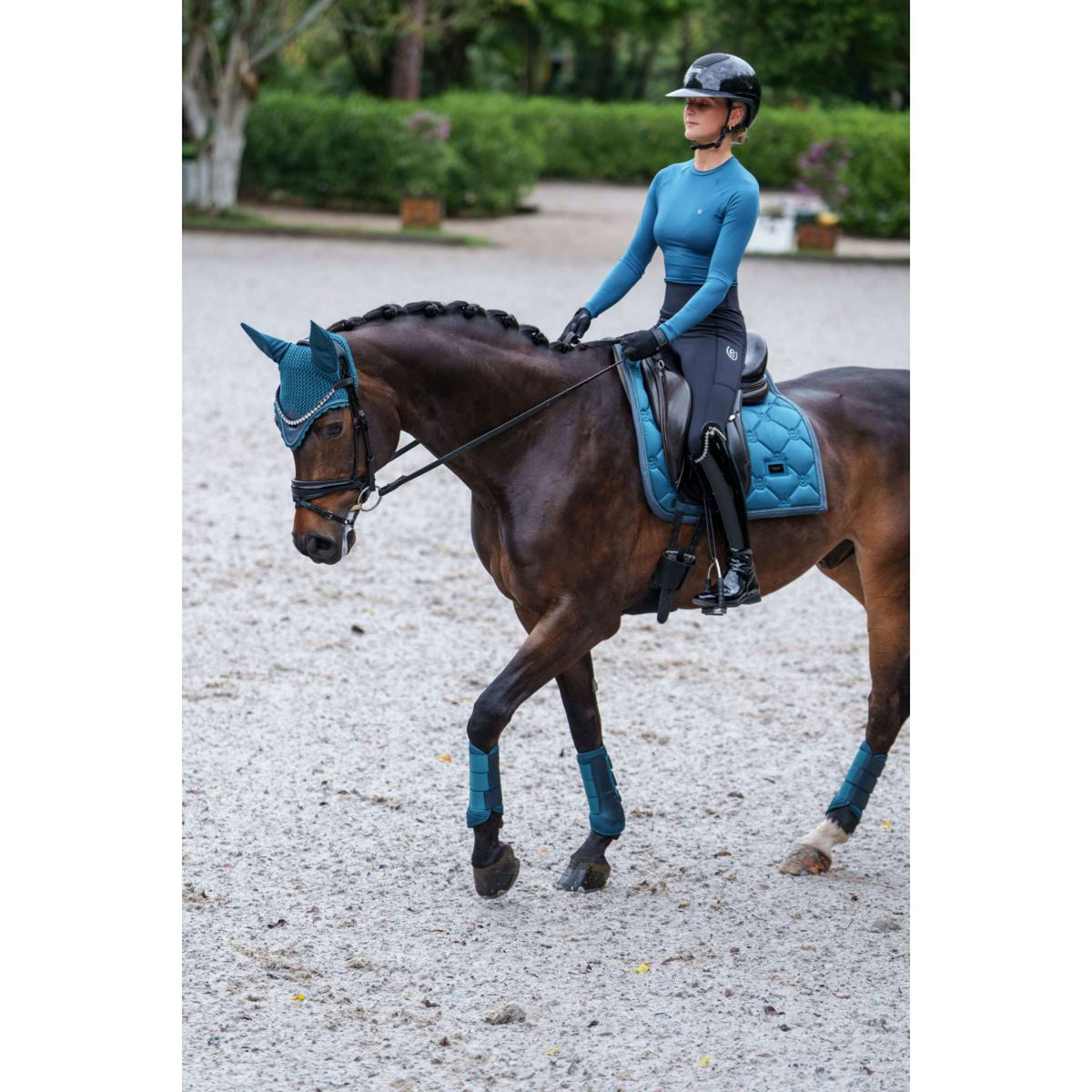 Equestrian Stockholm Fliegenhaube Modern Teal Blue