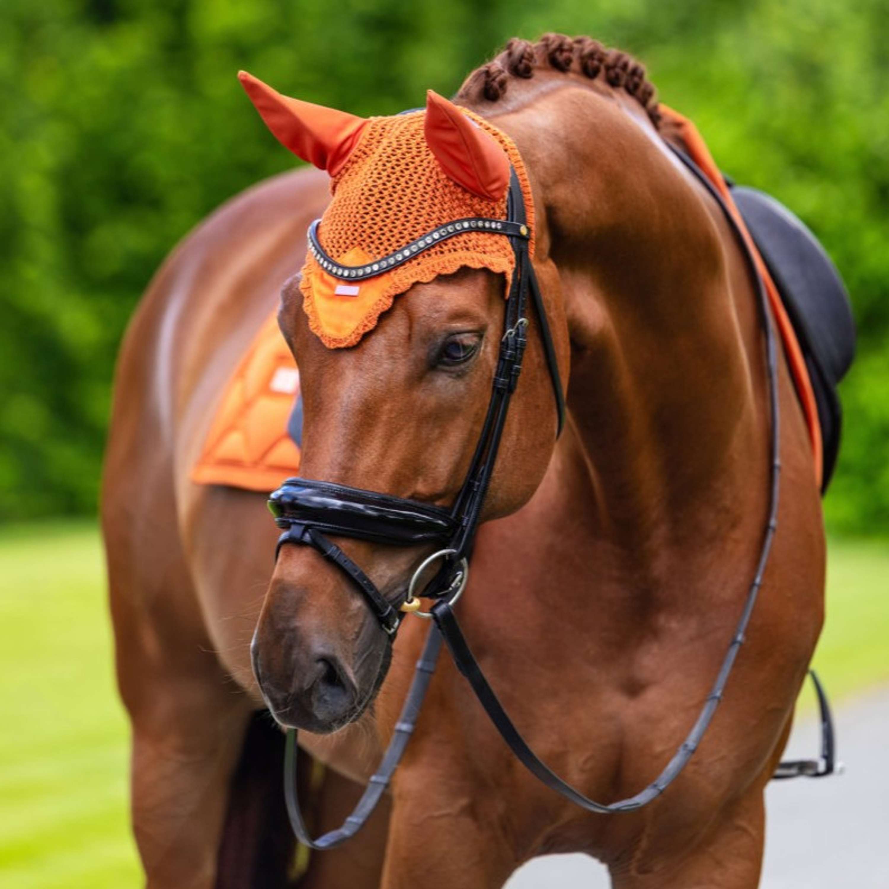 Equestrian Stockholm Fliegenhaube Velvet Chestnut