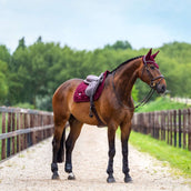 Equestrian Stockholm Schabracke Velvet Springen Merlot