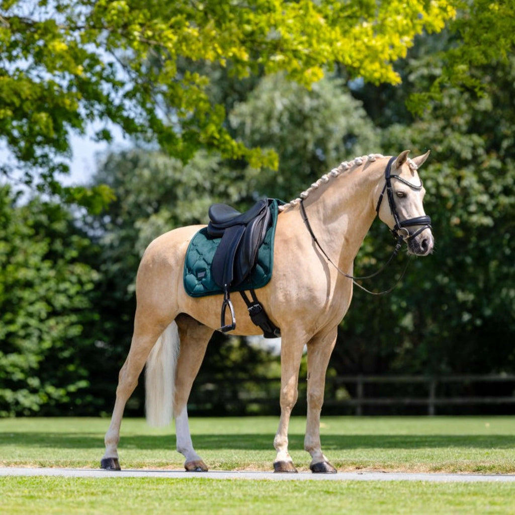 Equestrian Stockholm Schabracke Velvet Dressur Sycamore Green