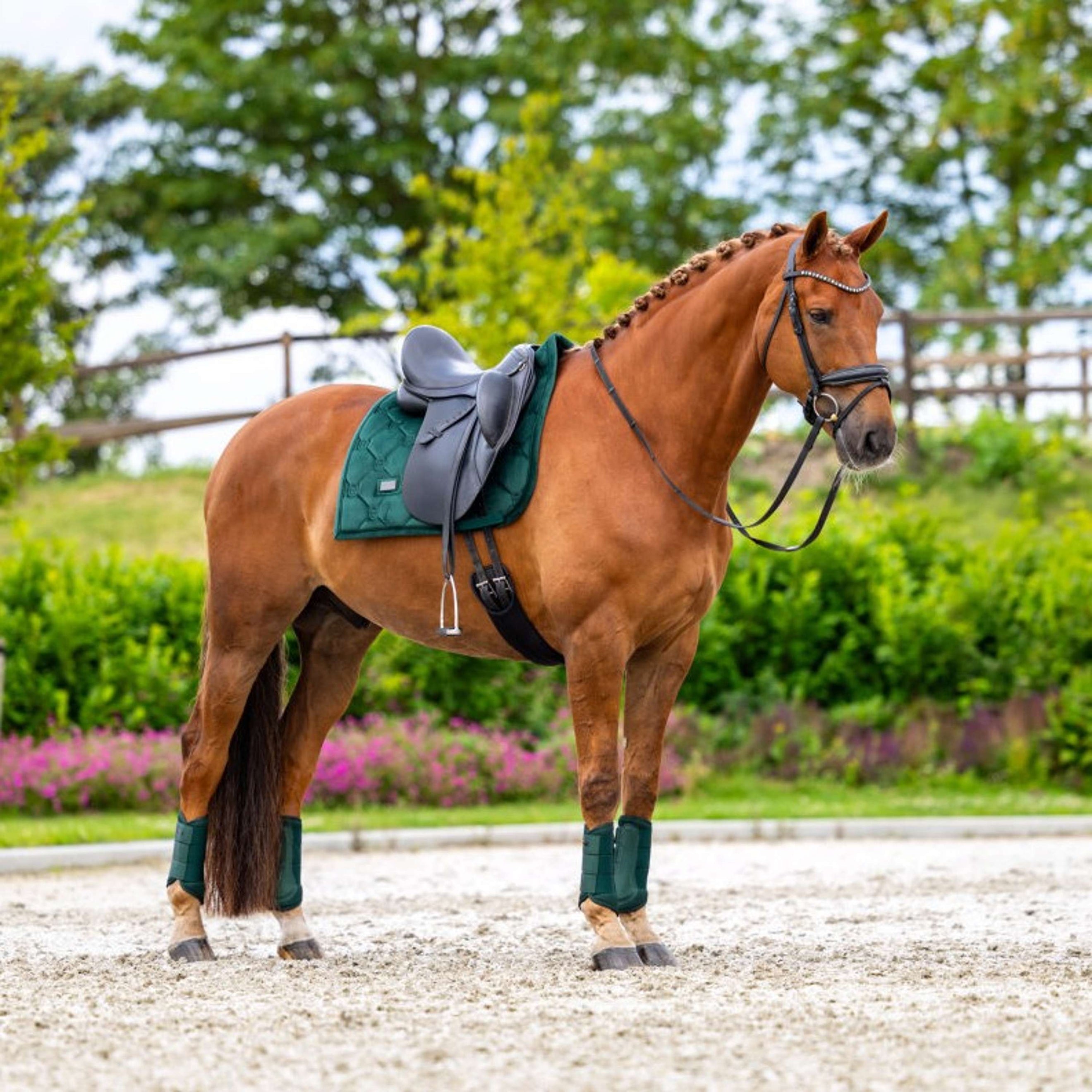 Equestrian Stockholm Schabracke Velvet Dressur Sycamore Green Equestrian Stockholm Schabracke Velvet Dressur Sycamore Green