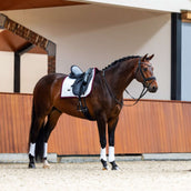Equestrian Stockholm Schabracke Modern Dressur Weiß/Merlot