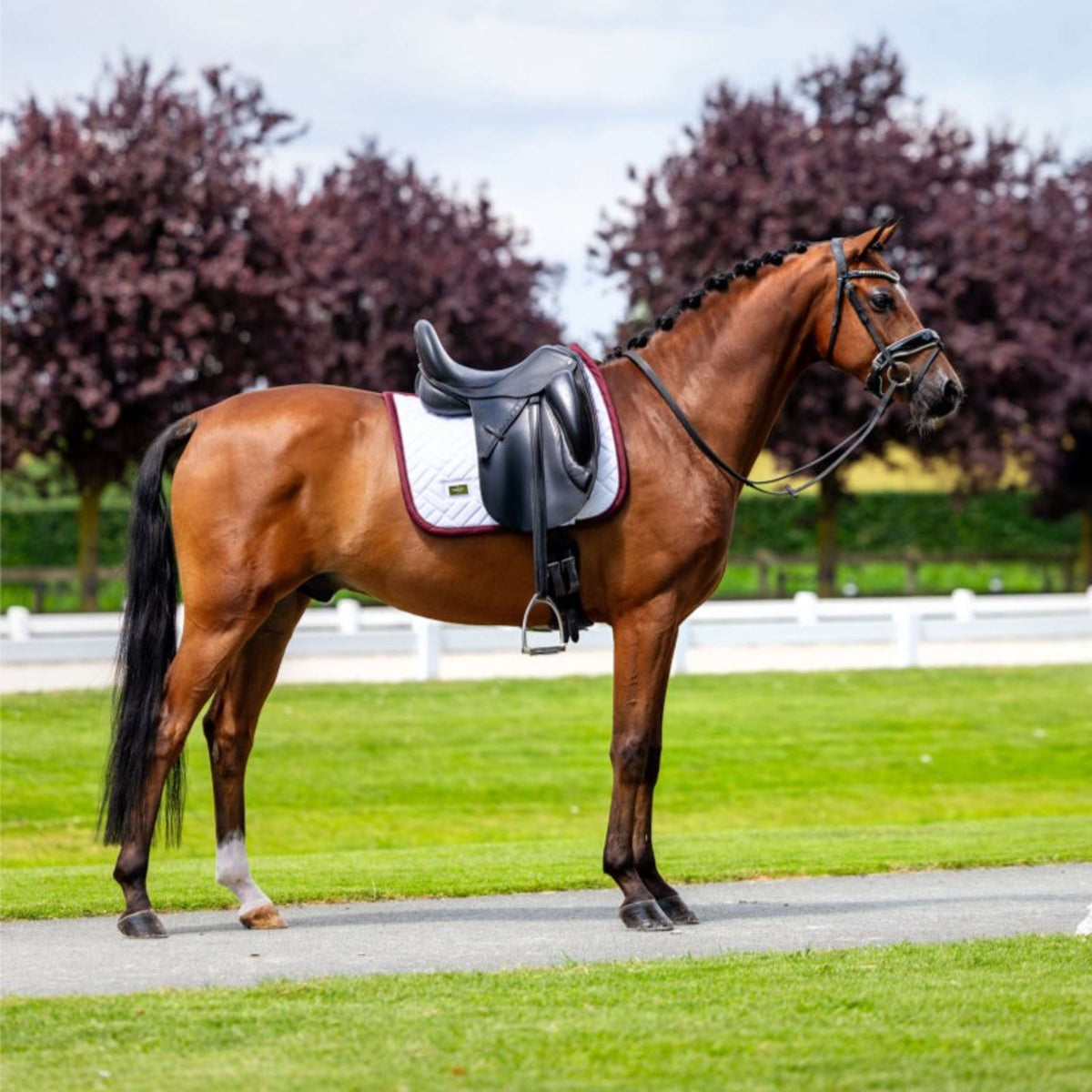 Equestrian Stockholm Schabracke Modern Dressur Weiß/Merlot