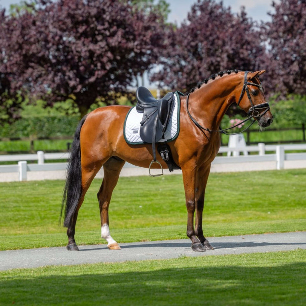 Equestrian Stockholm Schabracke Modern Dressur Weiß/Sycamore Green