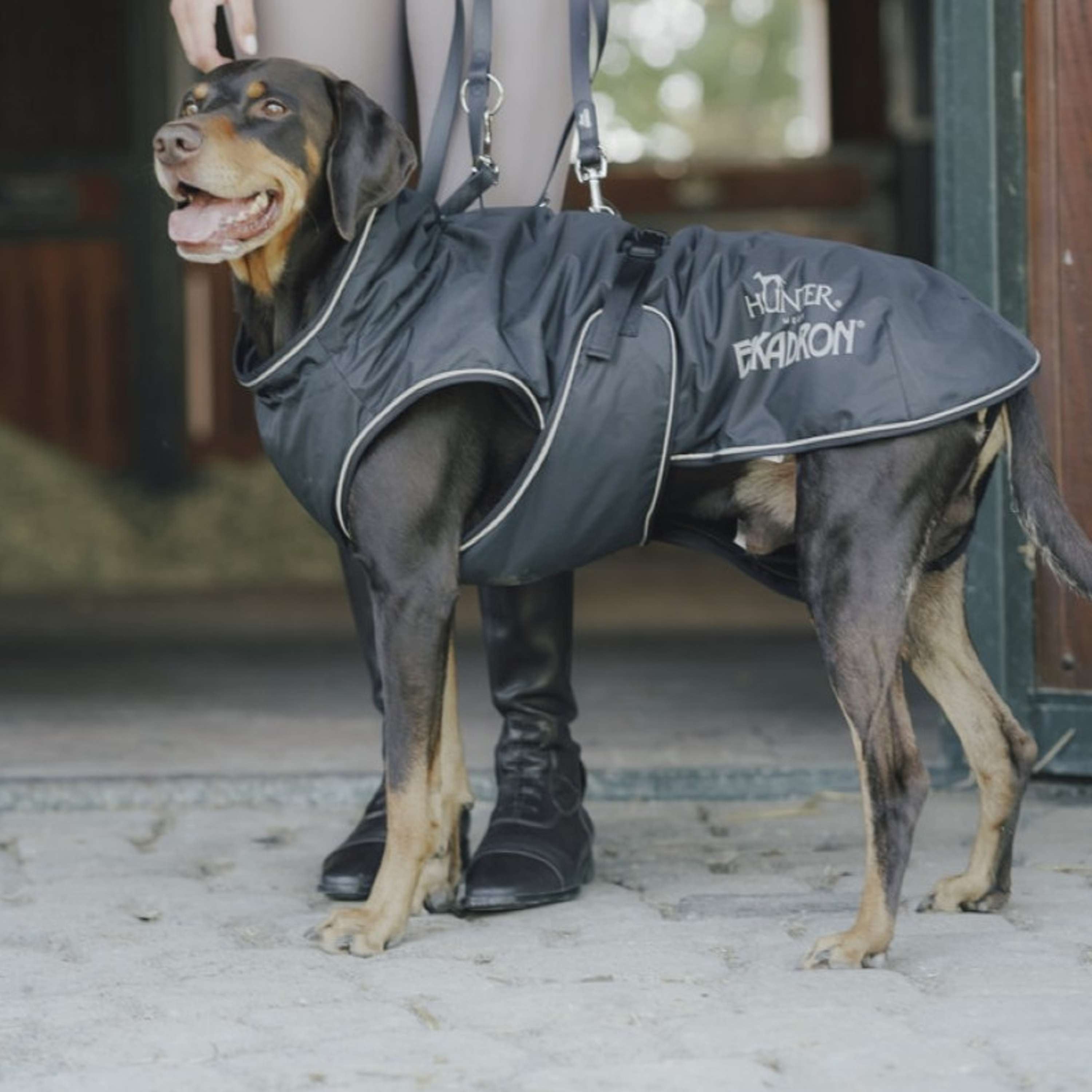Hunter x Eskadron Hunde Wintermantel Vario Schwarz
